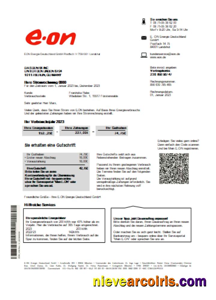 Germany E.ON Energie electricity utility business bill